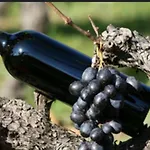 Διαμέρισμα Cocon Avec